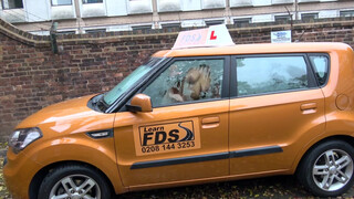 Fake Driving School a percerz viszgabiztos elcsábítja a csávót